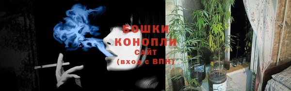 дживик Нефтекумск