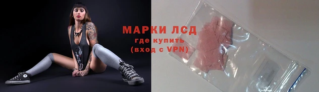 ALPHA PVP Новодвинск