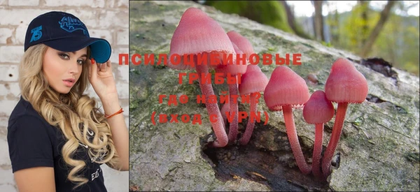 прущие крисы Новокубанск